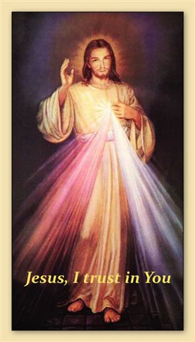Divine Mercy Chaplet Prayer Card(FOR THOSE UNABLE TO ATTEND MASS)